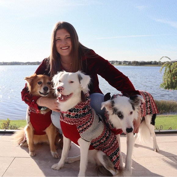 Sunshine, Rescue Dogs & Books 🌞🐕📚 | Priced to Sell Fast ✨ - Picture 6 of 10